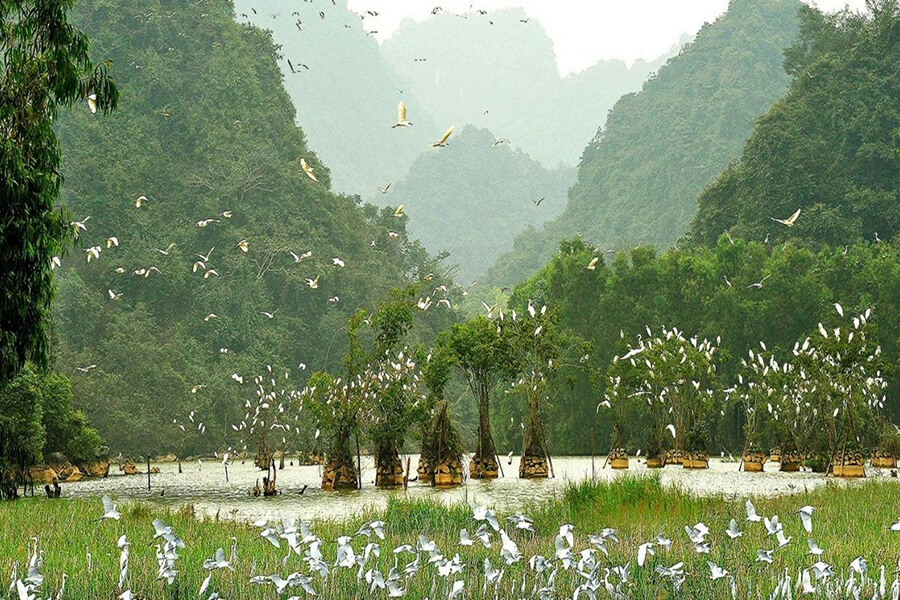 thung nham bird valley ninh binh, Vietnam Packages 