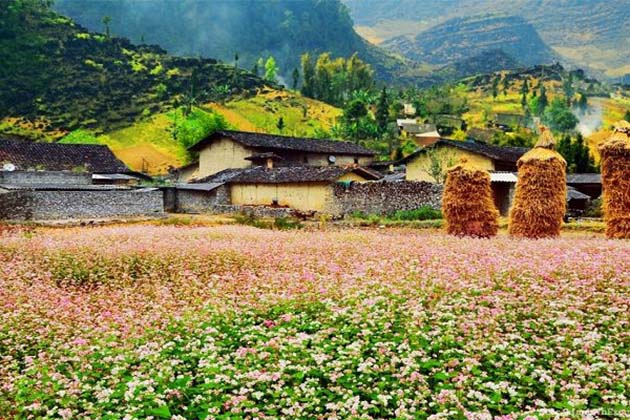 Is Vienam safe for travelling, Vietnam Tour Packages