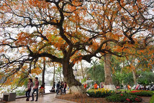 Hanoi weather 3 hanoi weather fall