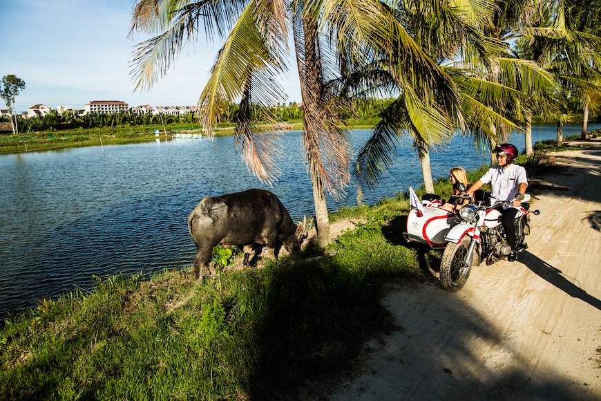 best tours in hoi an