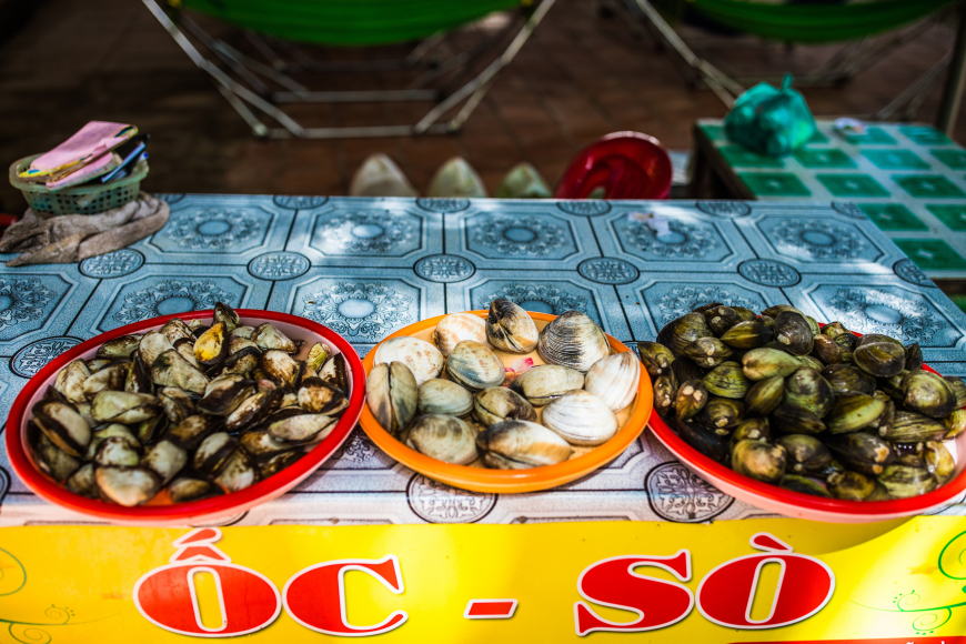 copy20of206z3a2223 phu quoc snail
