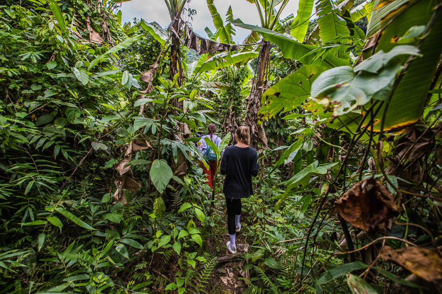 Hiking through the jungle of Phong Nha.