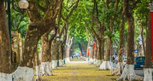 3 walking tours of Hanoi