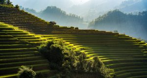 Top Instagram spots in Vietnam