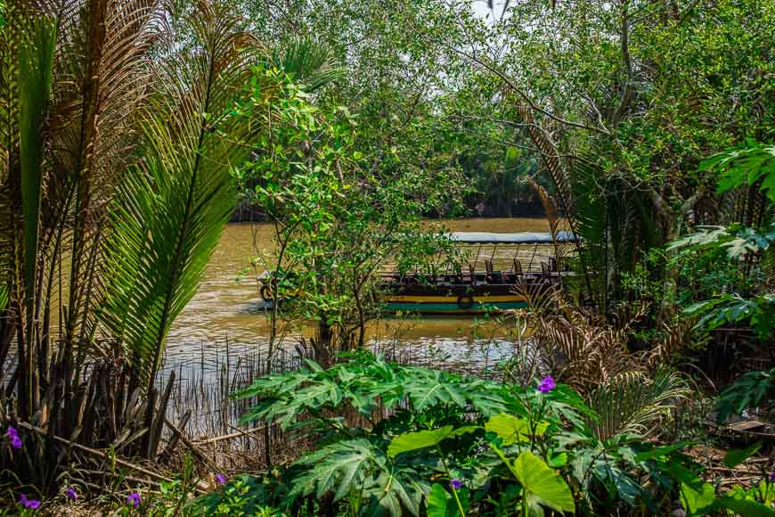 things to do in Mekong Delta