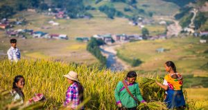 Sapa for sustainable travellers
