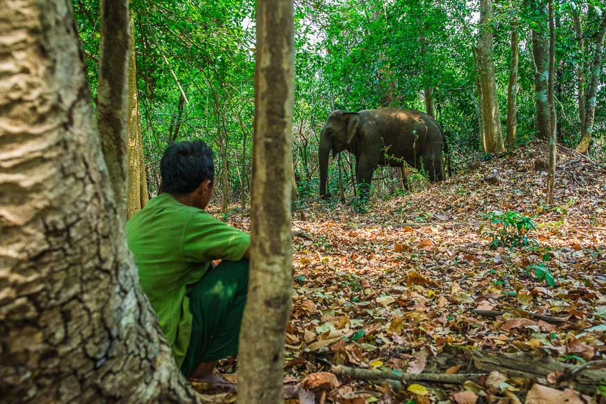 green tours Vietnam