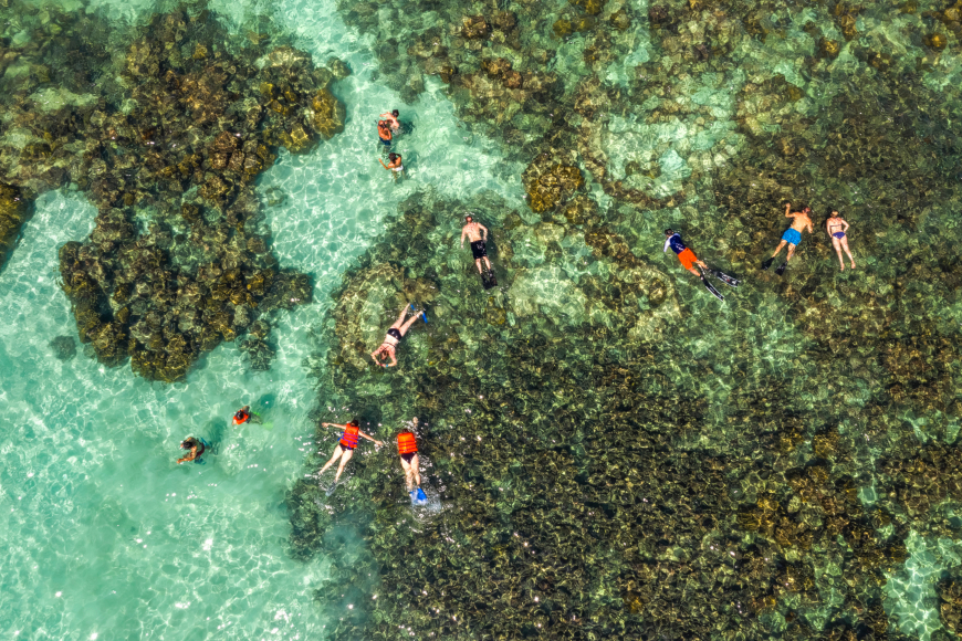 shutterstock_1397382653 The UNESCO Biosphere Reserve protects a complex system of hard and soft coral reefs