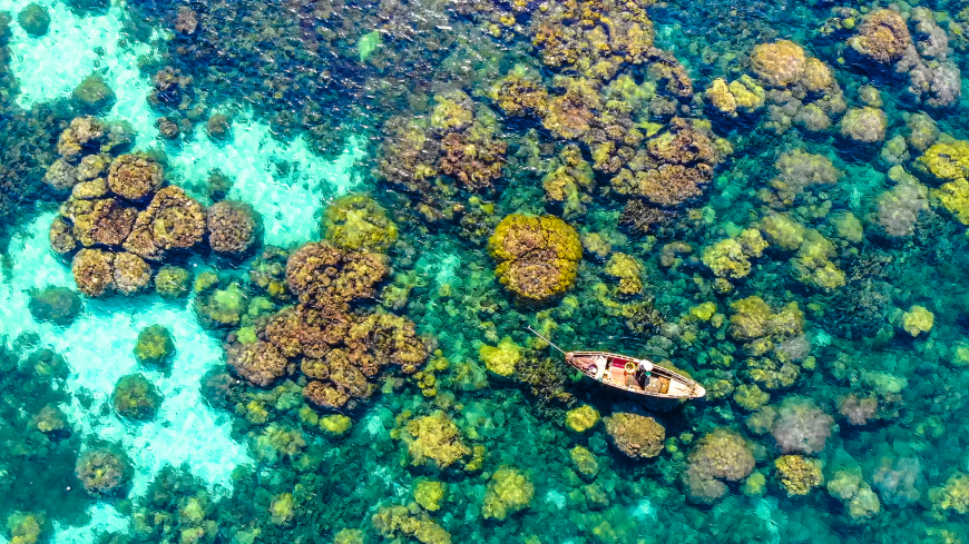 The UNESCO Biosphere Reserve protects a complex system of hard and soft coral reefs