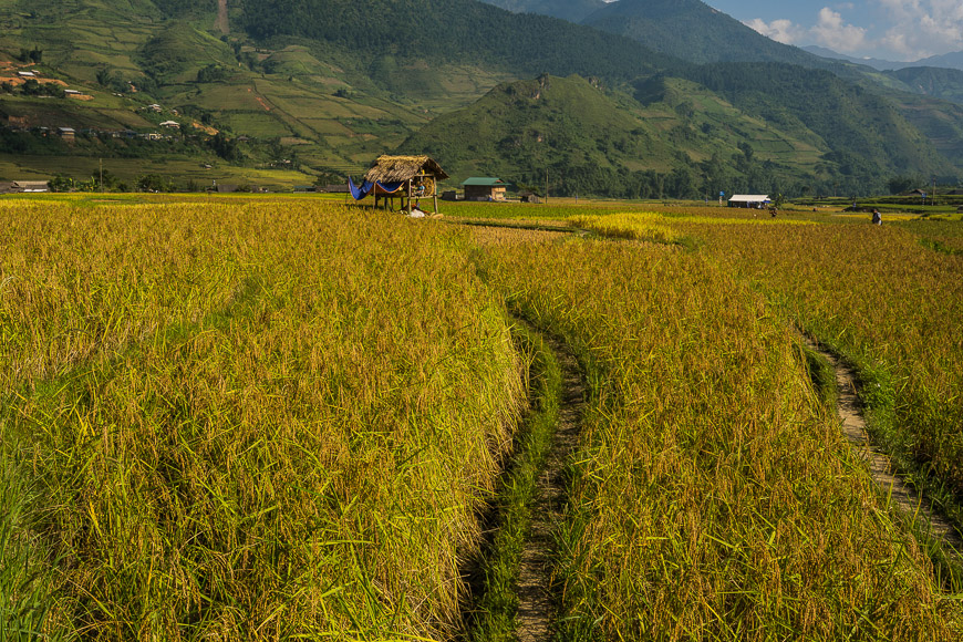 hiking mu cang chai