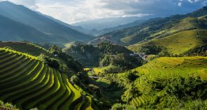 Where to see Vietnam’s rice terraces