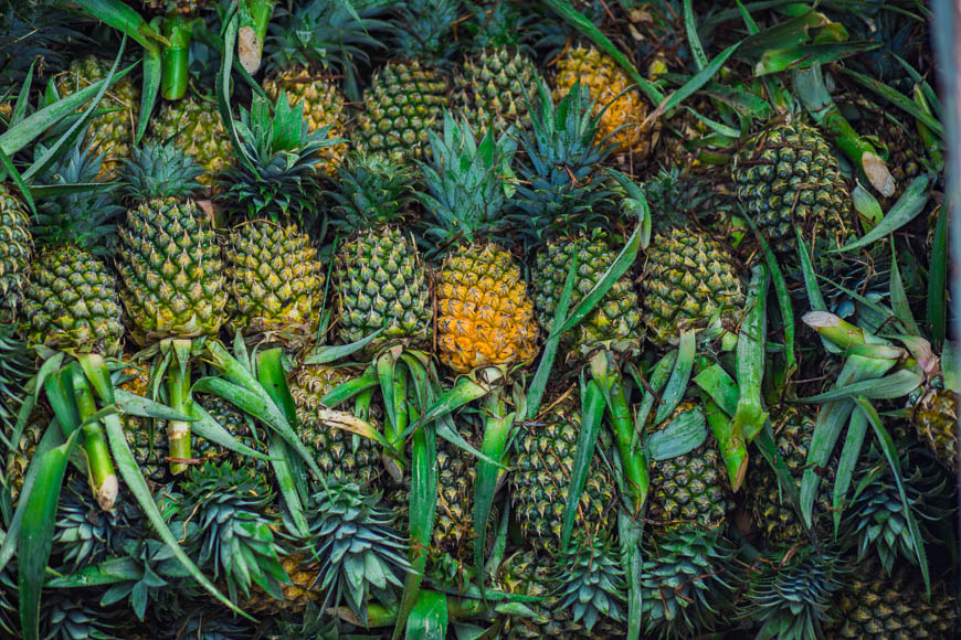 Mekong Delta tropical fruits