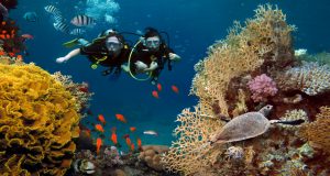 Underwater Activities in Phu Quoc