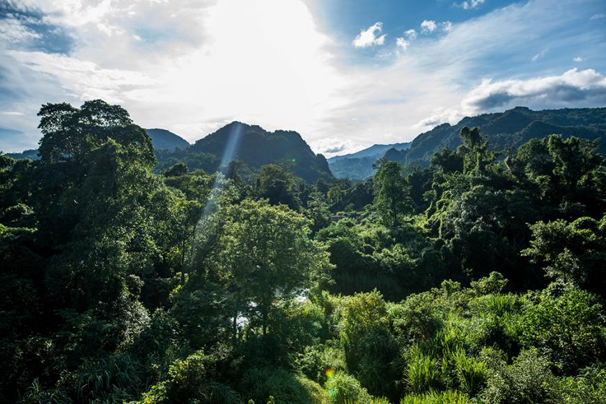 Nick Ross Word Vietnam Phong Nha