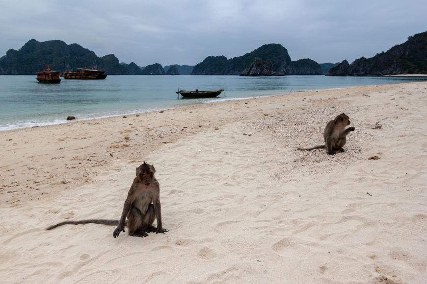 Monkey Island in Ha Long Bay