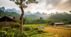 Roadside adventures in Ha Giang